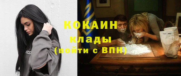 мдпв Верея