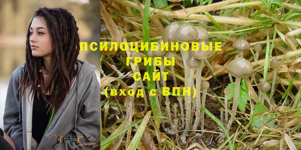 мдпв Верея