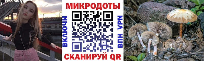 Галлюциногенные грибы мухоморы  Электрогорск 