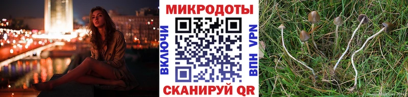 Галлюциногенные грибы Magic Shrooms Электрогорск
